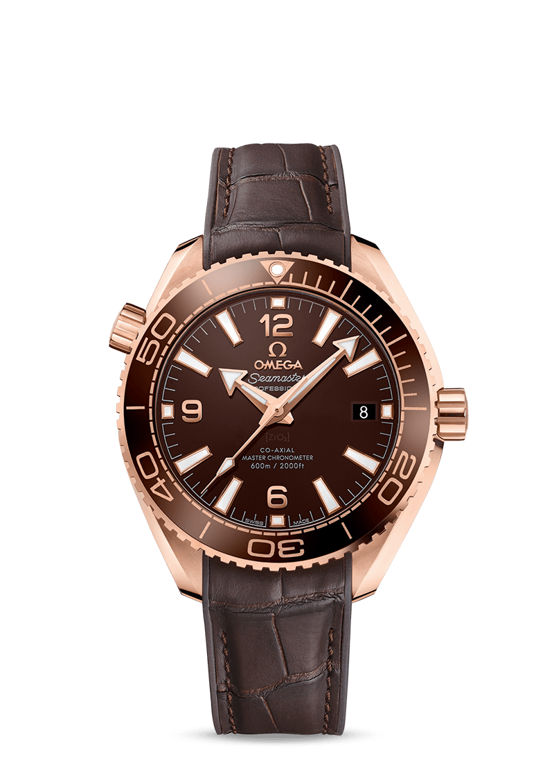 Omega Seamaster Planet Ocean