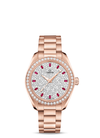 Omega Seamaster Aqua Terra