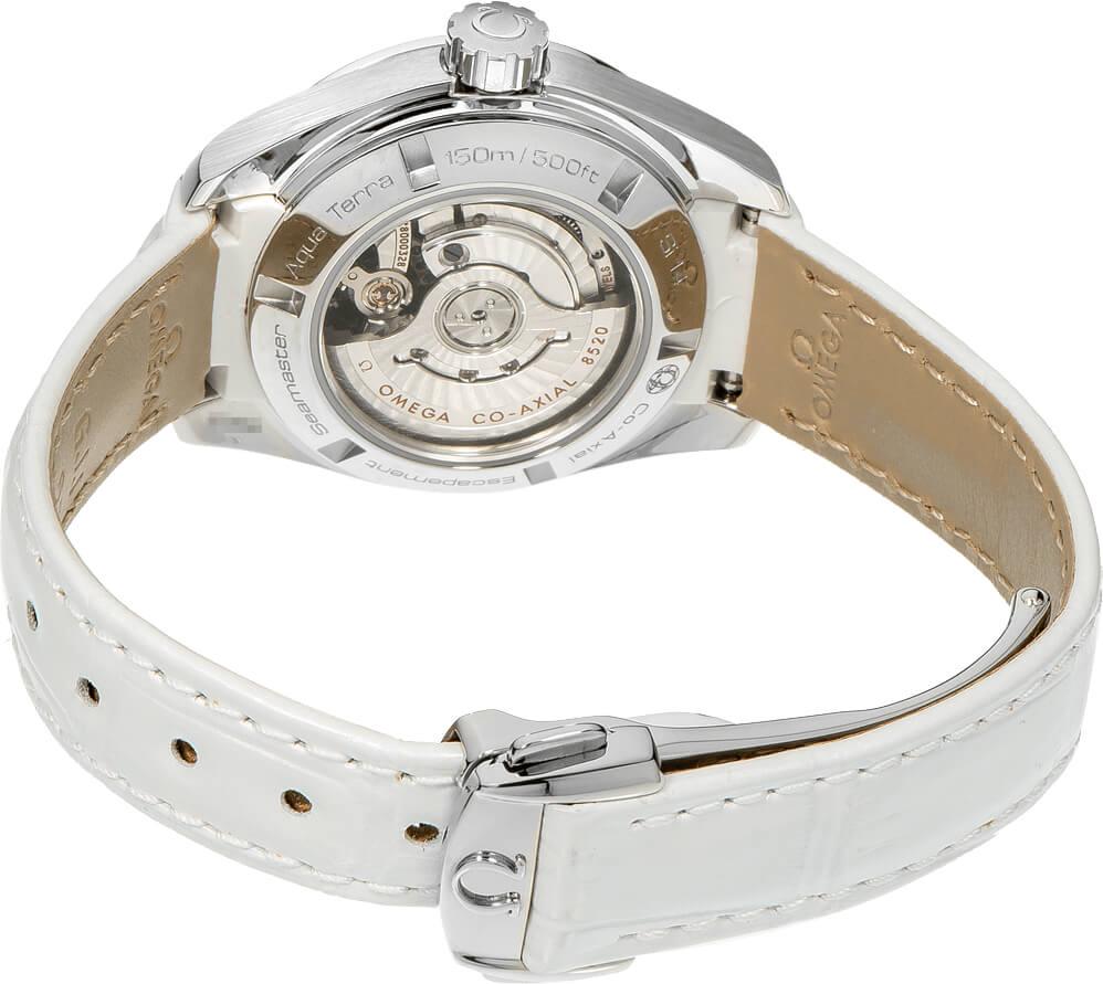 Omega Seamaster Aqua Terra