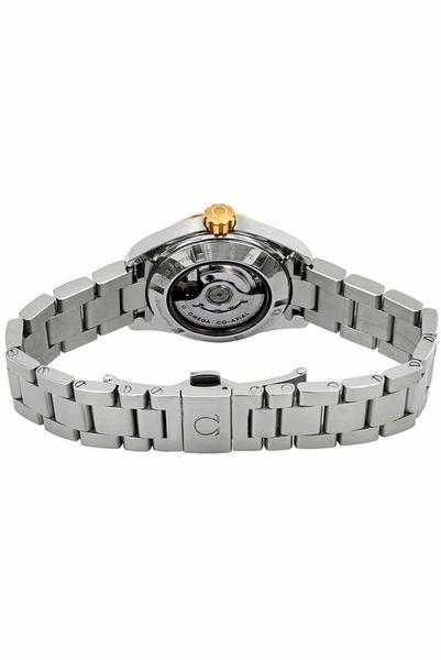 Omega Seamaster Aqua Terra