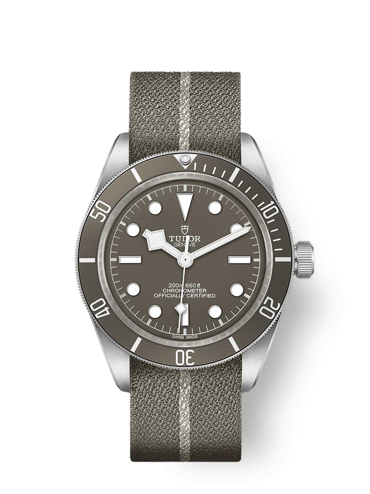 Tudor Black Bay