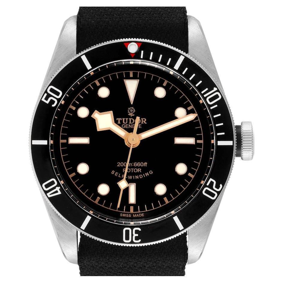 Tudor Black Bay