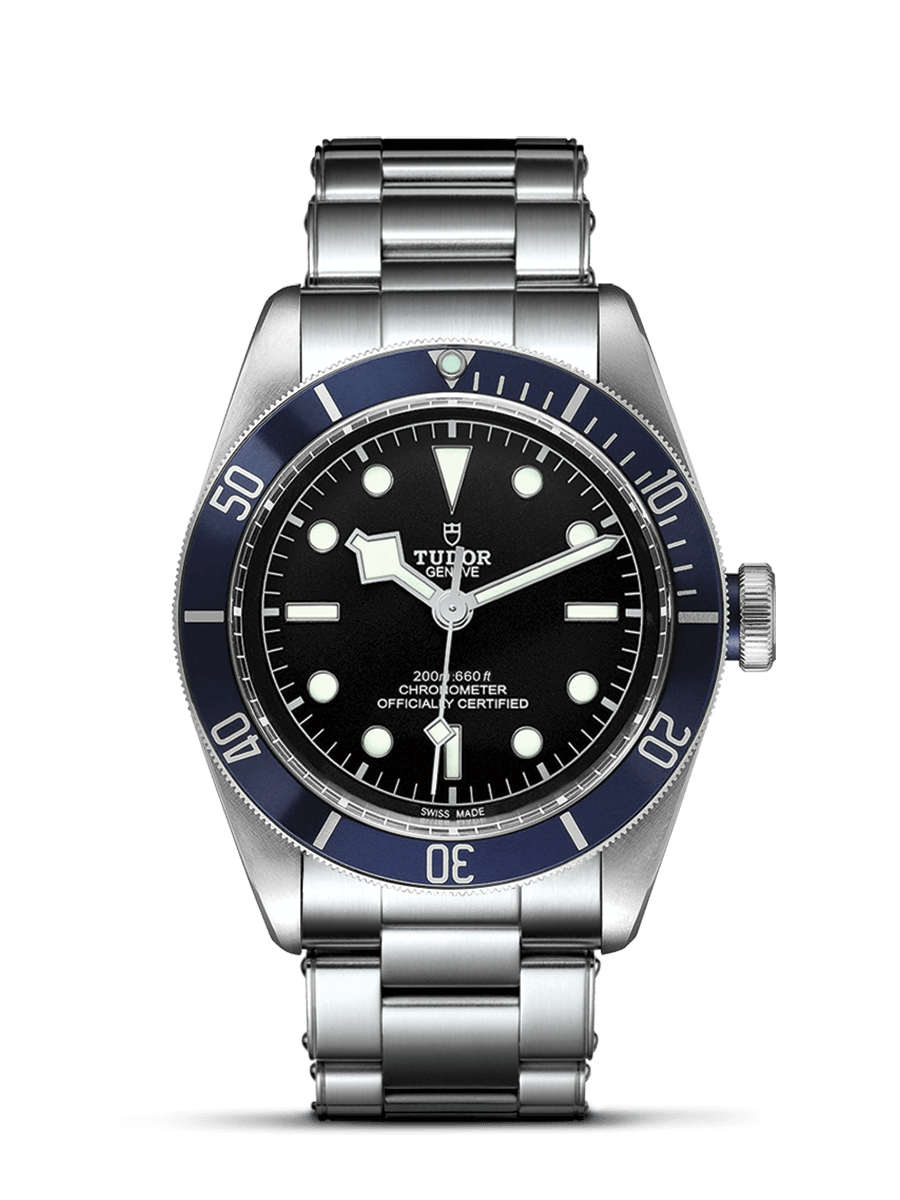 Tudor Black Bay