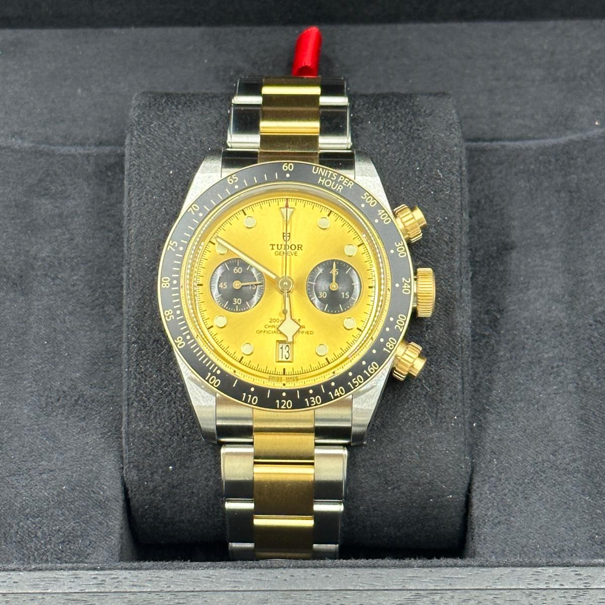 Tudor Black Bay Steel