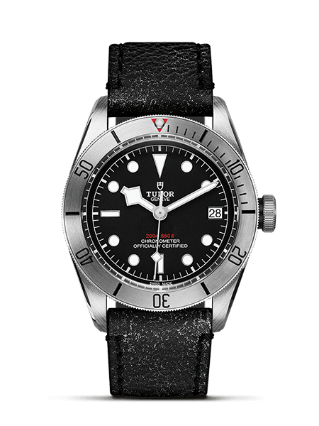 Tudor Black Bay Steel