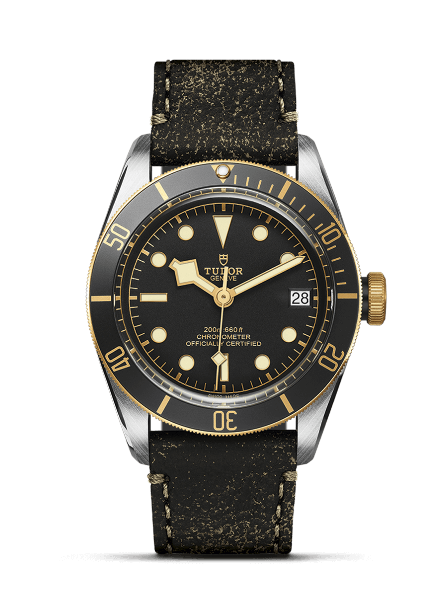 Tudor Black Bay S&G