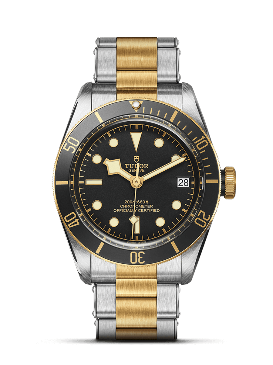 Tudor Black Bay S&G