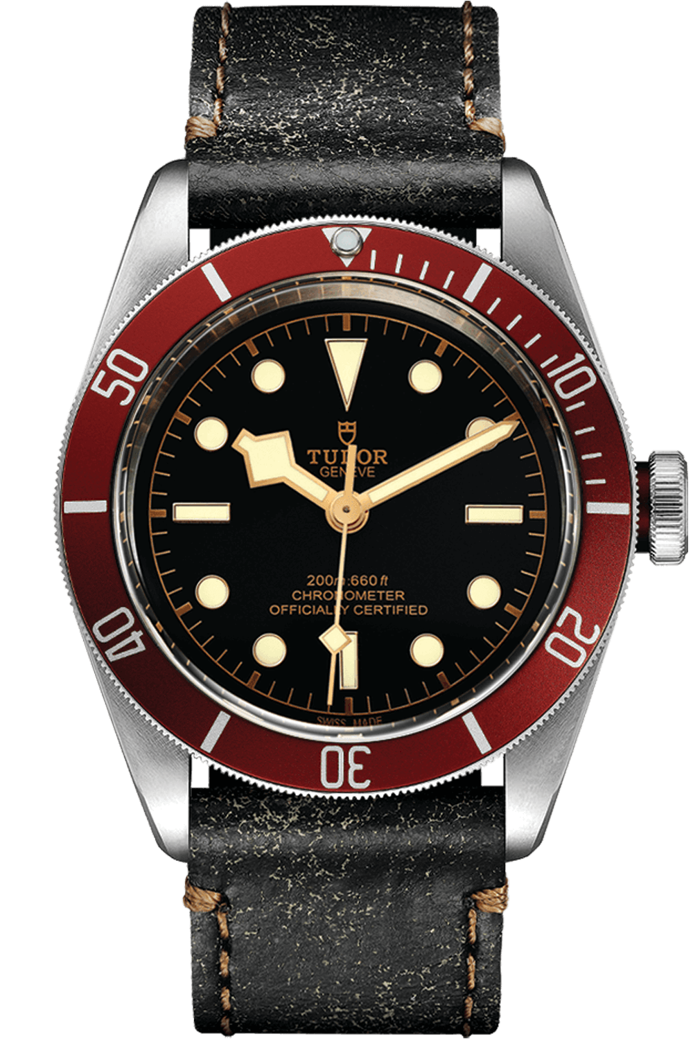 Tudor Black Bay