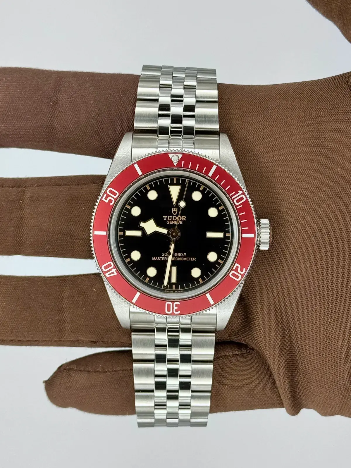 Tudor Black Bay