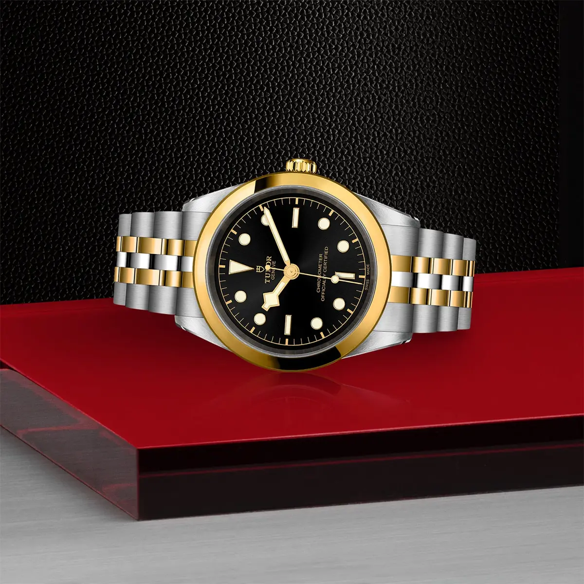 Tudor Black Bay S&G