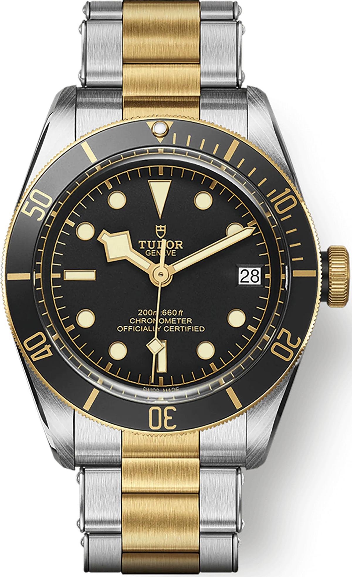 Tudor Black Bay S&G